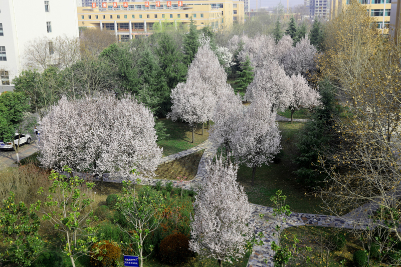 9N1A6300.JPG